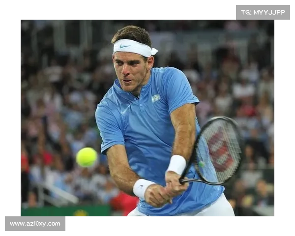 戴维斯杯观众创意助威横幅走红网络，体现球迷文化多元